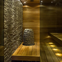 the Elation Sauna